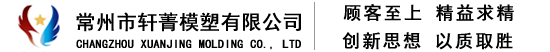 汽車(chē)前大燈模具,汽車(chē)尾燈模具,保險(xiǎn)杠模具,格柵模具-常州市軒菁模塑有限公司